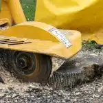 The Benefits of Stump Grinding